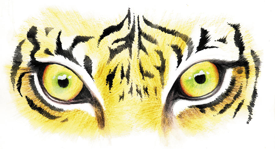 clip art eye of the tiger - photo #14