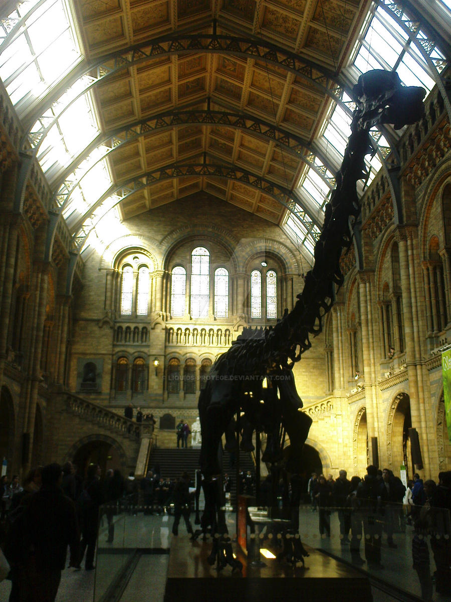 Speed Dating London Natural History Museum