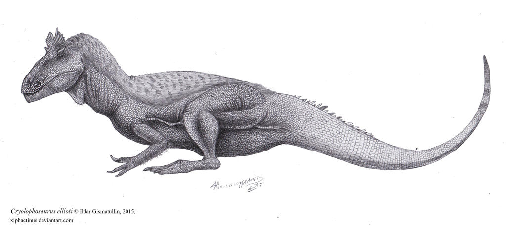 http://img03.deviantart.net/5469/i/2015/094/2/4/cryolophosaurus_ellioti_by_xiphactinus-d8oclob.jpg