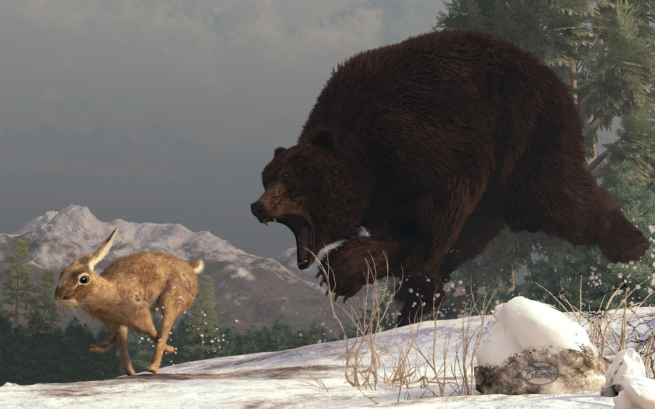 grizzly_bear_chasing_rabbit_by_deskridge