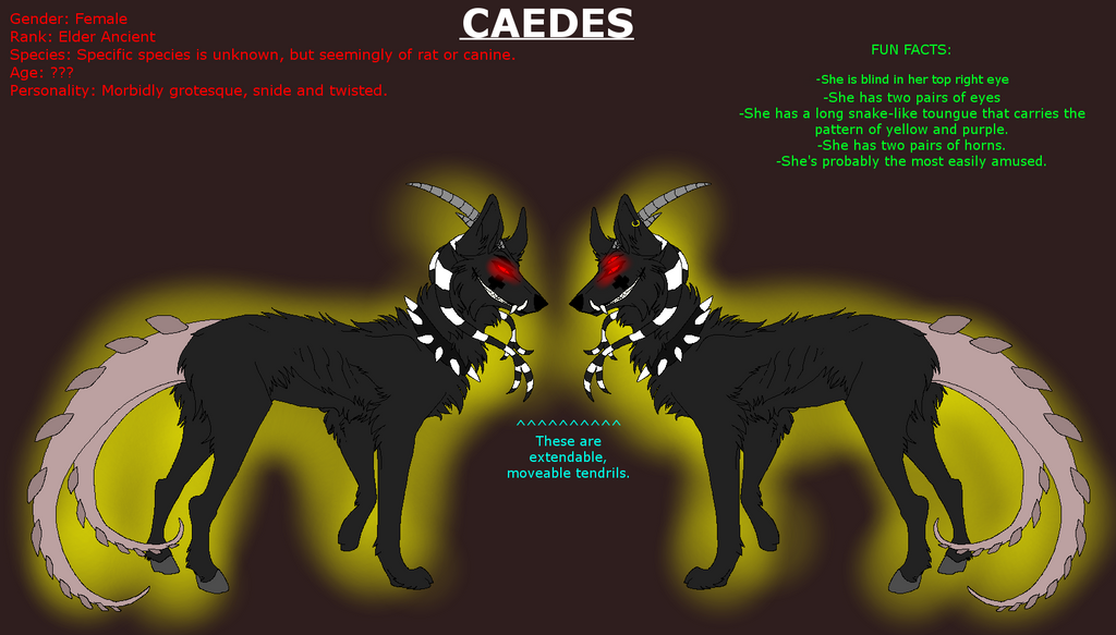Simple reference Sheet: Caedes by xX-NIGHTBANEWOLF-Xx
