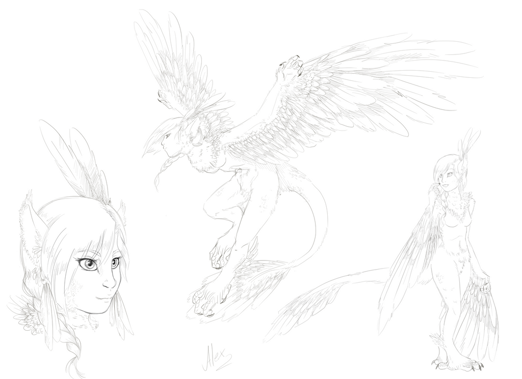 harpy_by_calzoncillo-db46ob5.png