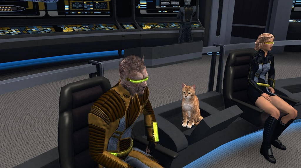 even_the_admiral_s_cat_has_a_station_on_the_bridge_by_otisnoble-d9d7cb3.jpg