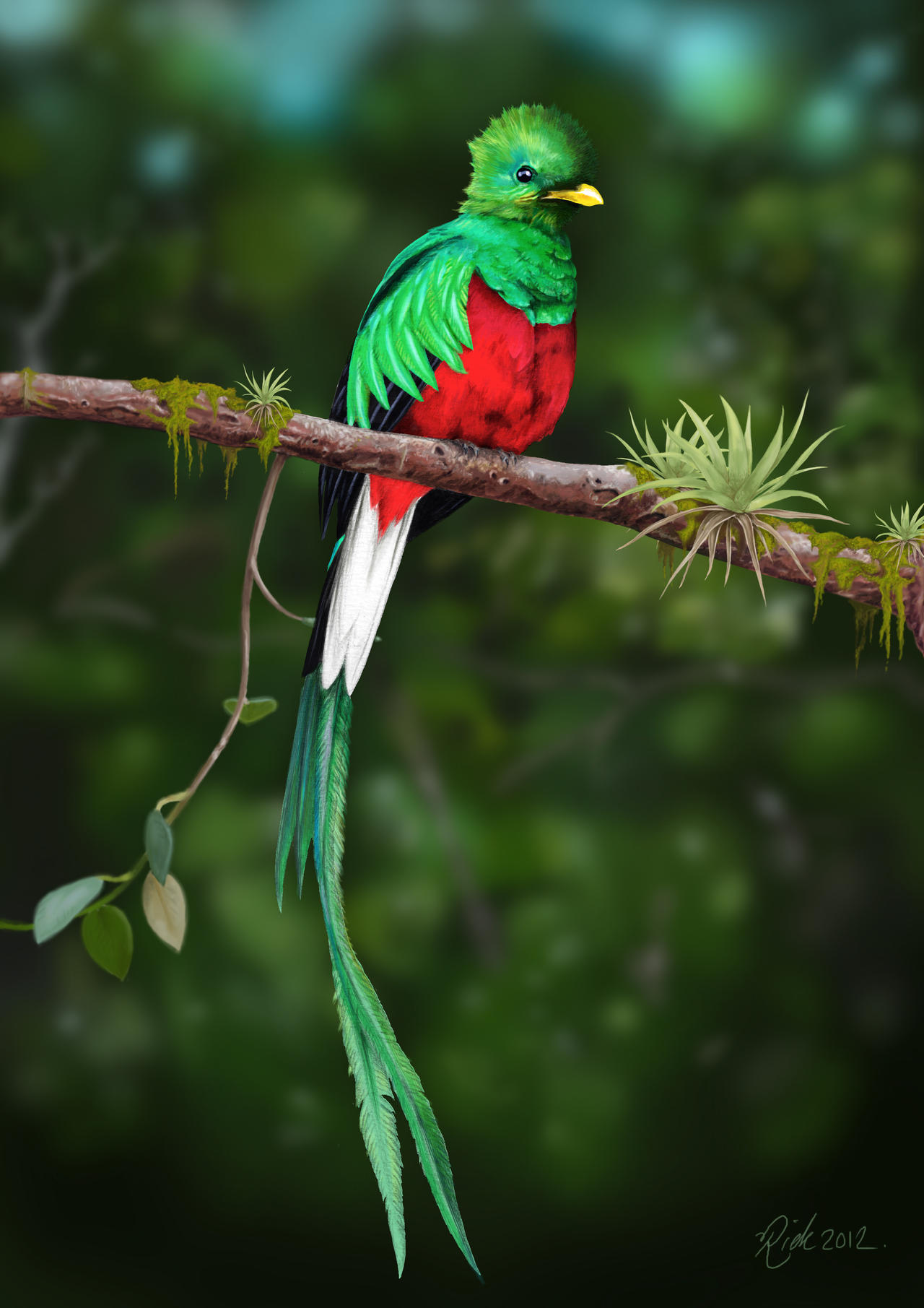 Resultado de imagen para Quetzal
