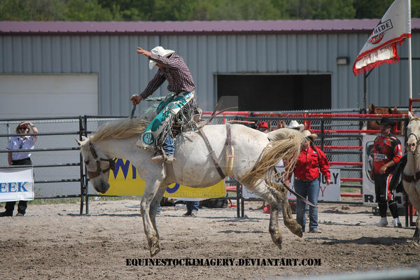 Bronc Riding 1 by EquineStockImagery on DeviantArt