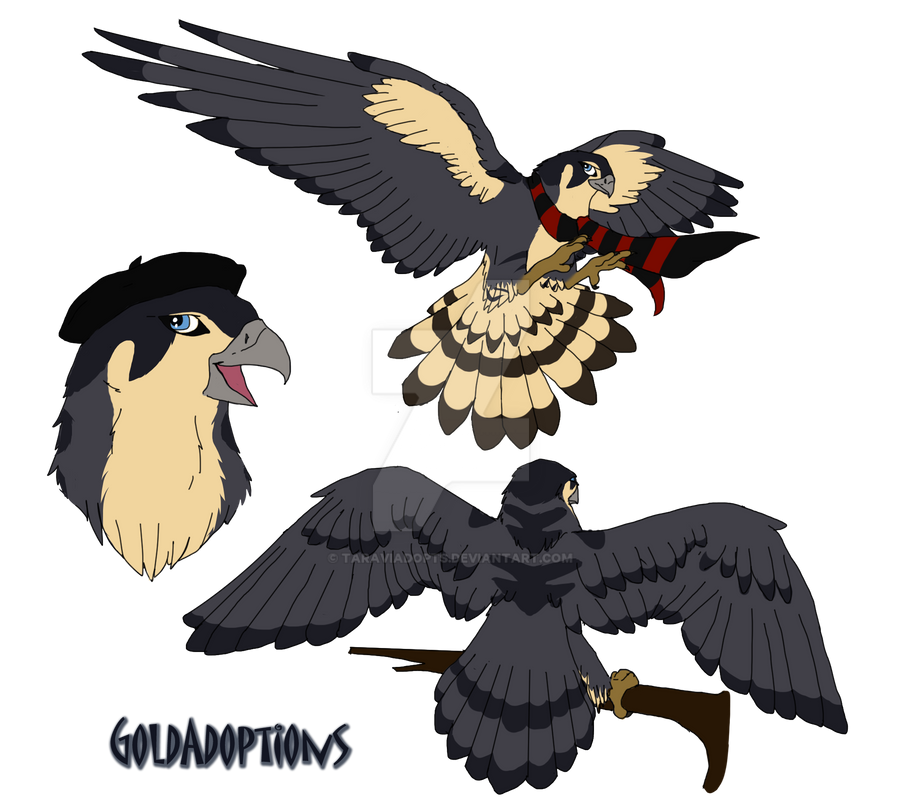 Peregrine Falcon for Kaylin540 by TaraviAdopts on DeviantArt