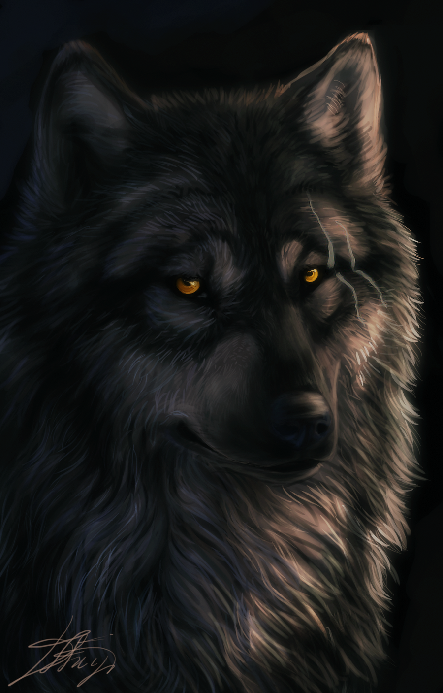 Wolf by Dark-Sheyn on DeviantArt