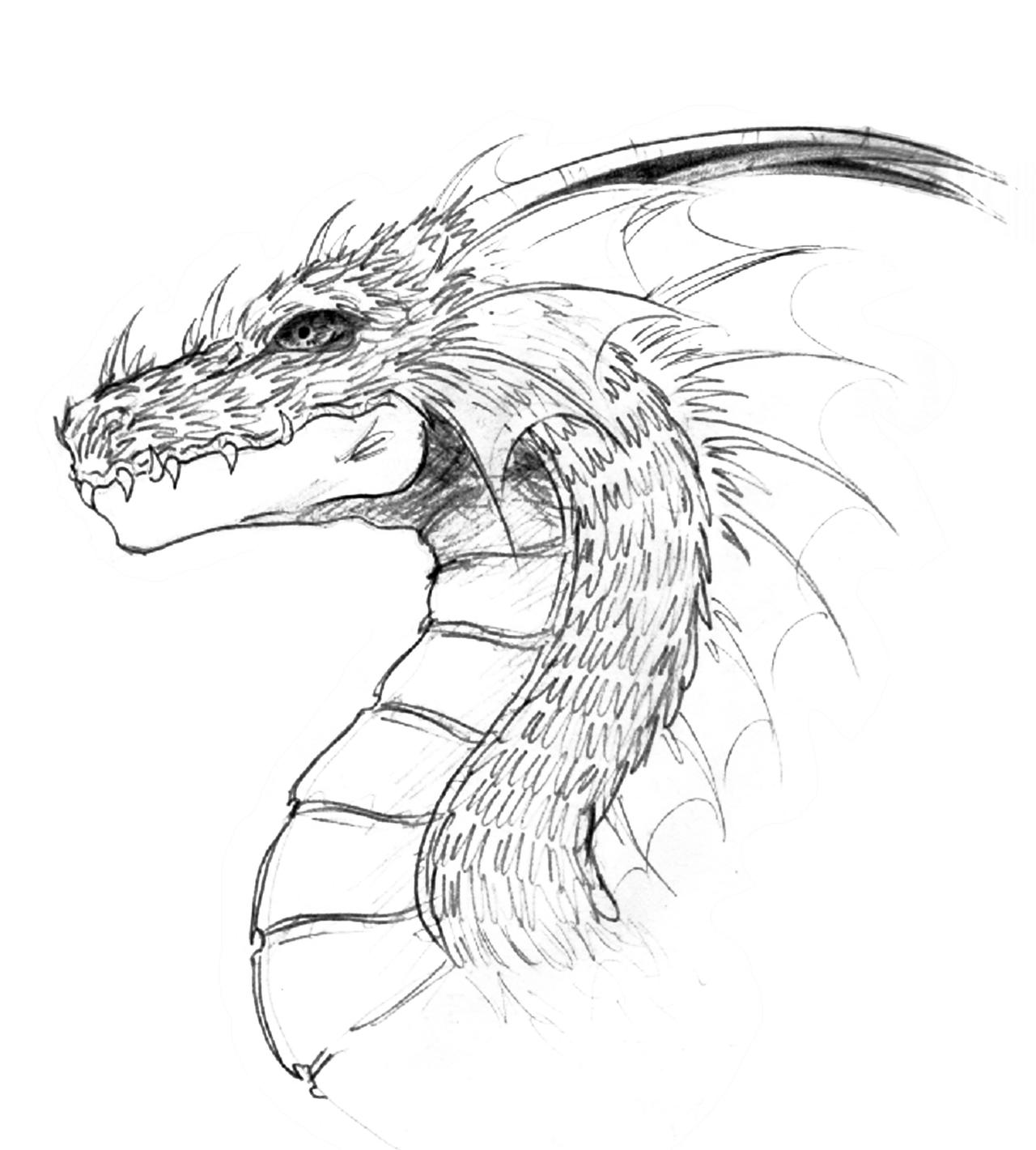 Dragon head by lastwarrior14 on DeviantArt